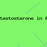 testosterone in food